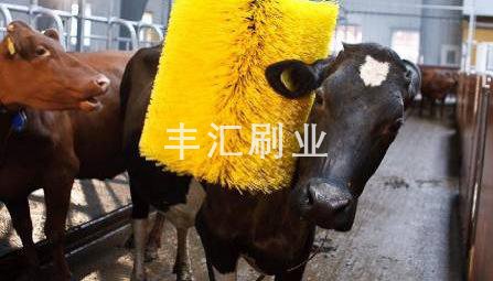 旋轉(zhuǎn)牛體刷